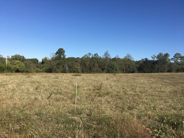 Image for 31.78 Acre Rt 26 Oakville Rd, Appomattox, VA