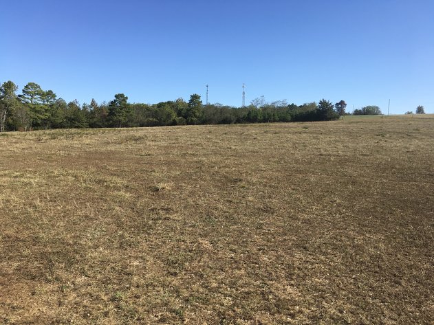 Image for 31.78 Acre Rt 26 Oakville Rd, Appomattox, VA