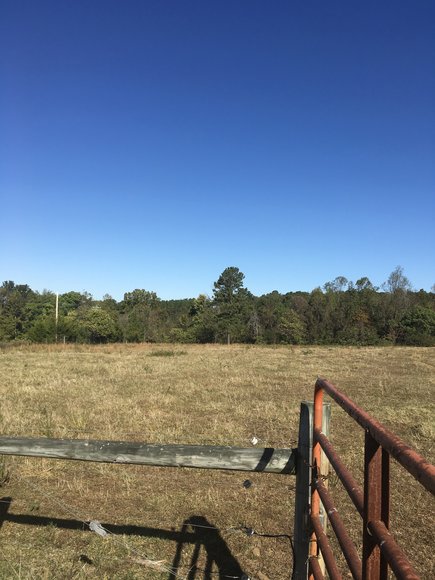 Image for 31.78 Acre Rt 26 Oakville Rd, Appomattox, VA