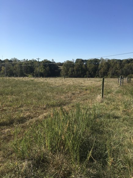 Image for 31.78 Acre Rt 26 Oakville Rd, Appomattox, VA