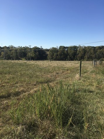 Image for 31.78 Acre Rt 26 Oakville Rd, Appomattox, VA