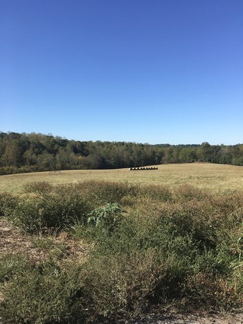 Image for 31.78 Acre Rt 26 Oakville Rd, Appomattox, VA