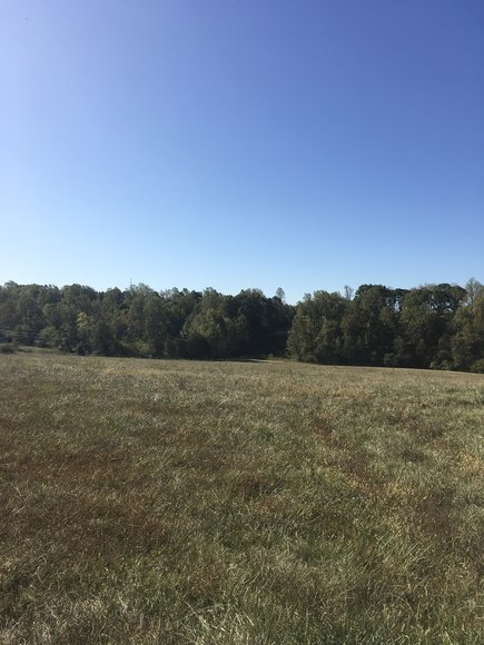 Image for 31.78 Acre Rt 26 Oakville Rd, Appomattox, VA