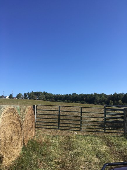 Image for 31.78 Acre Rt 26 Oakville Rd, Appomattox, VA