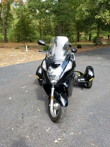 Image for Large Sportsman Auction