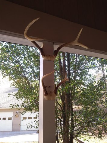 Image for 462 Jenny Lane, Appomattox , VA 24593