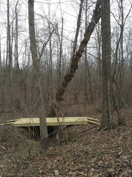 Image for 462 Jenny Lane, Appomattox , VA 24593