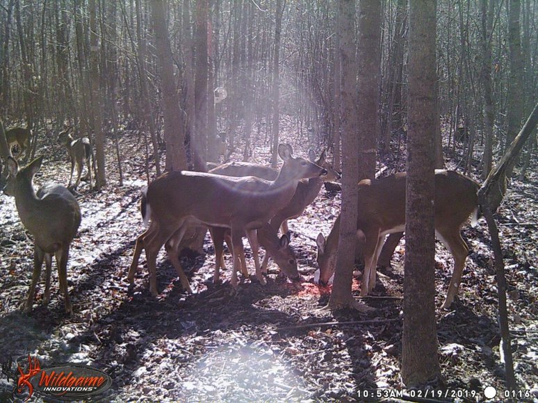 Image for 462 Jenny Lane, Appomattox , VA 24593