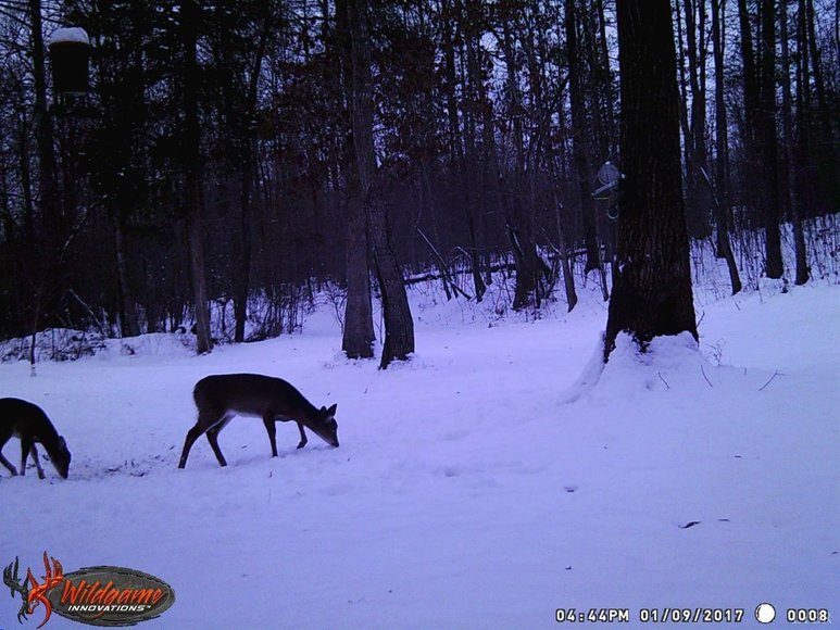 Image for 462 Jenny Lane, Appomattox , VA 24593