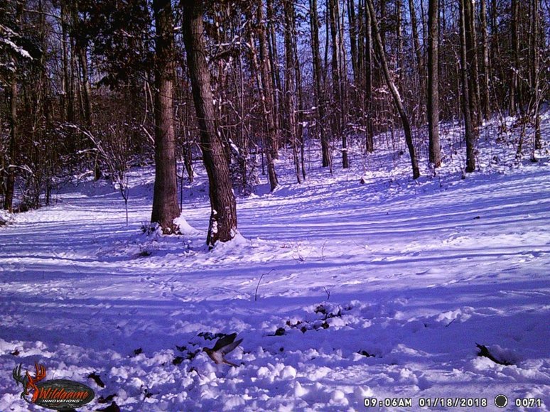 Image for 462 Jenny Lane, Appomattox , VA 24593