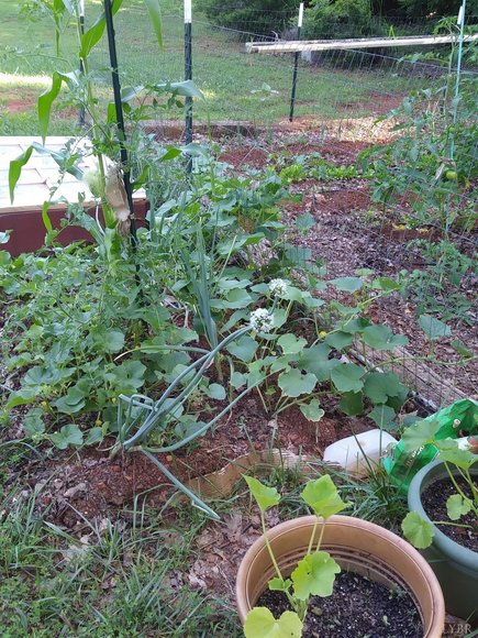 Image for 462 Jenny Lane, Appomattox , VA 24593