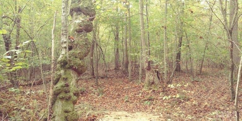 Image for 462 Jenny Lane, Appomattox , VA 24593