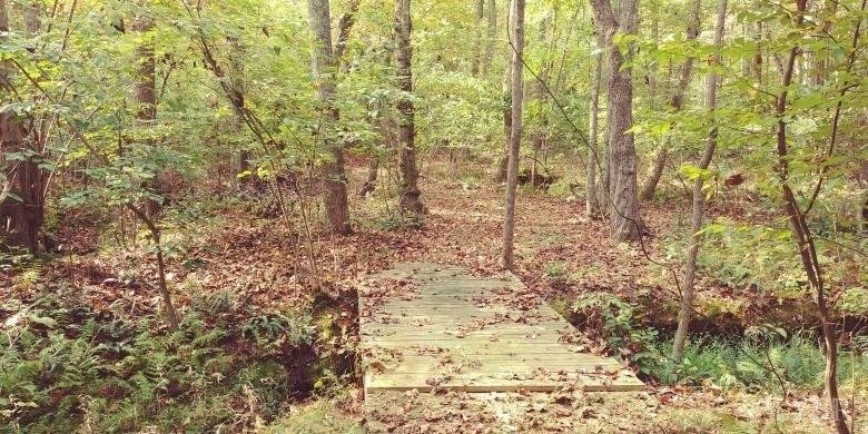 Image for 462 Jenny Lane, Appomattox , VA 24593