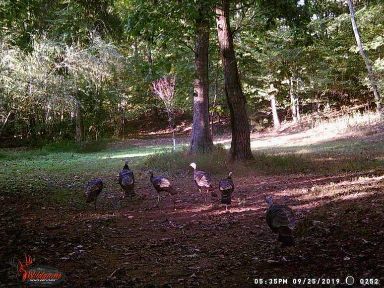 Image for 462 Jenny Lane, Appomattox , VA 24593