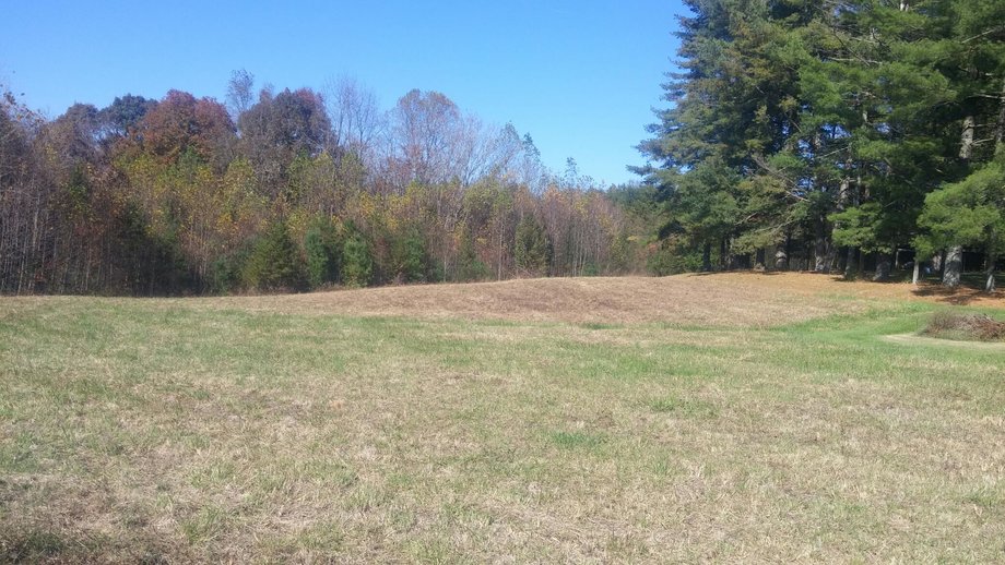 Image for 21.32± Acres on Holly Springs Road, Mount Airy, NC