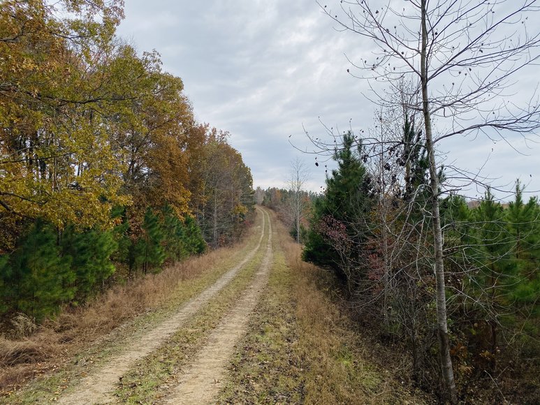 Image for 900+/- Acre Dover TN Land Auction