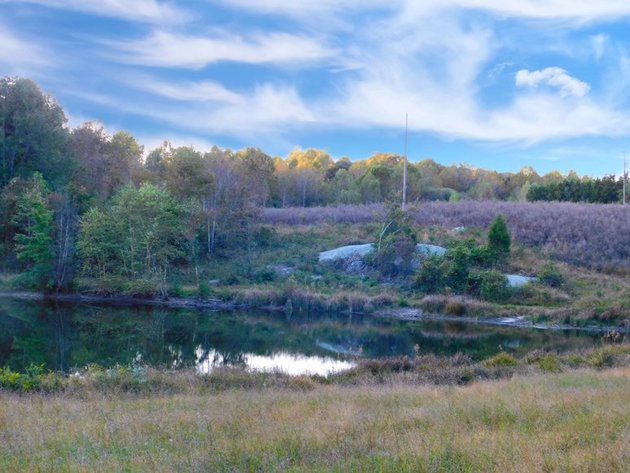 Image for 100 +/- Acres of Spotsylvania County Land--SELLS to the HIGHEST BIDDER via ONLINE ONLY BIDDING!!
