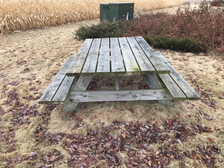 Image for Paul Mitchell college of Cosmetology