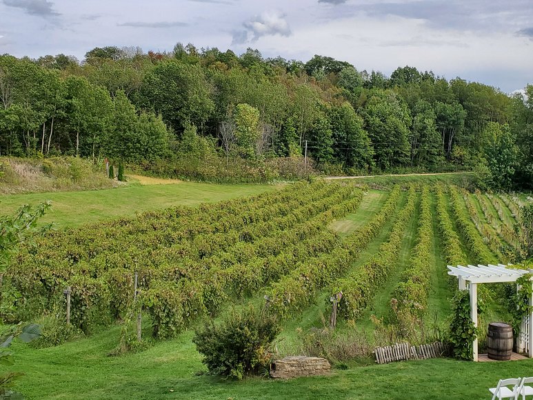 Image for 1605372 - N7391 County Road F Menomonie, Wisconsin 54751