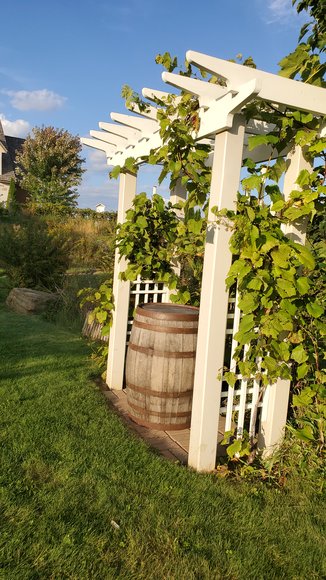 Image for 1605372 - N7391 County Road F Menomonie, Wisconsin 54751