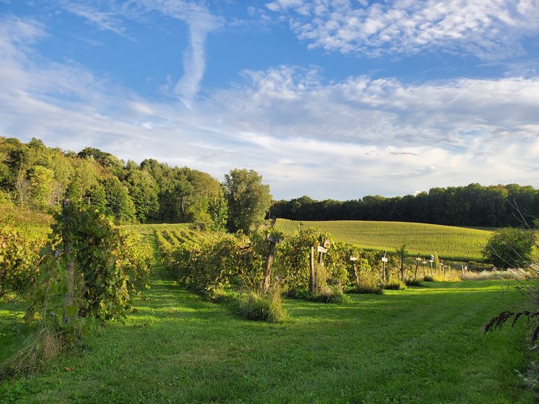 Image for 1605372 - N7391 County Road F Menomonie, Wisconsin 54751