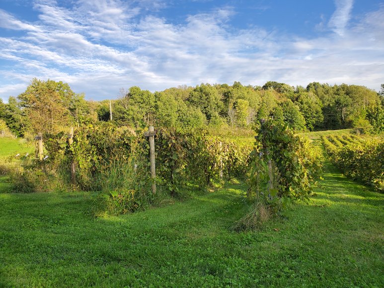 Image for 1605372 - N7391 County Road F Menomonie, Wisconsin 54751