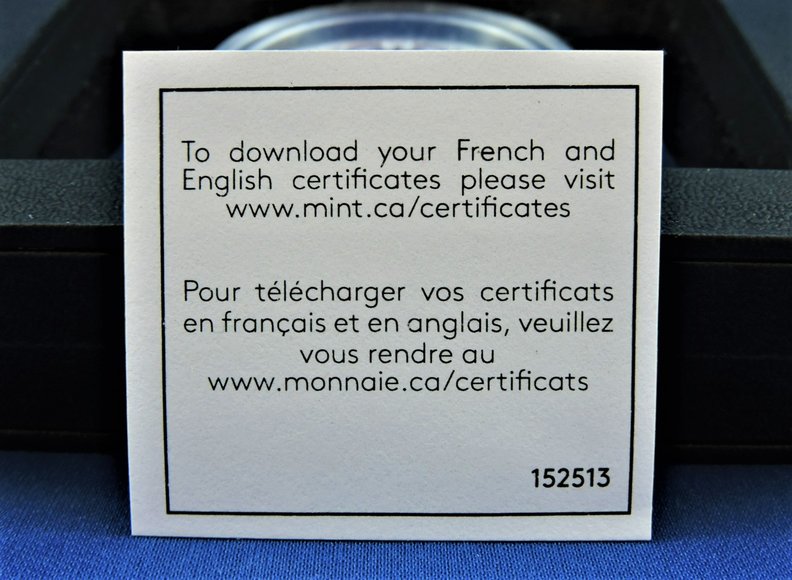 Image for FALCON OF TUTANKHAMUN 2017