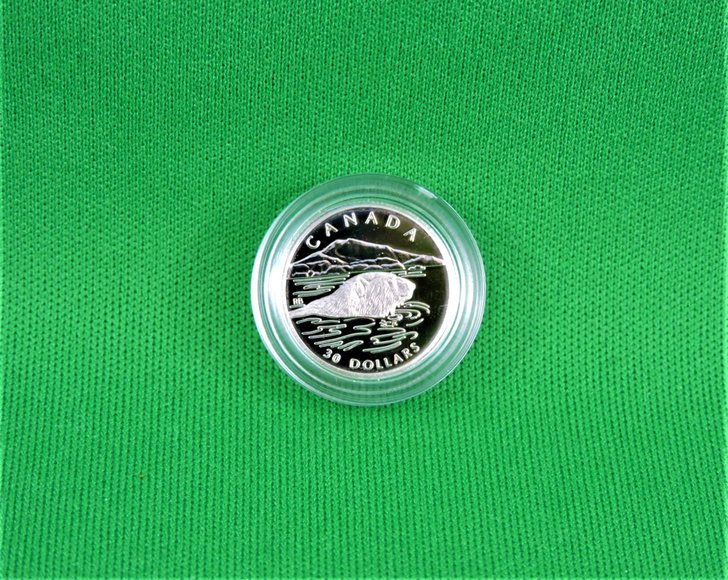 Image for The Platinum Polar Bear Coin Set - Royal Canadian Mint