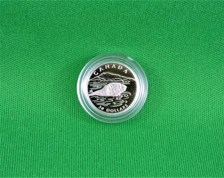 Image for The Platinum Polar Bear Coin Set - Royal Canadian Mint