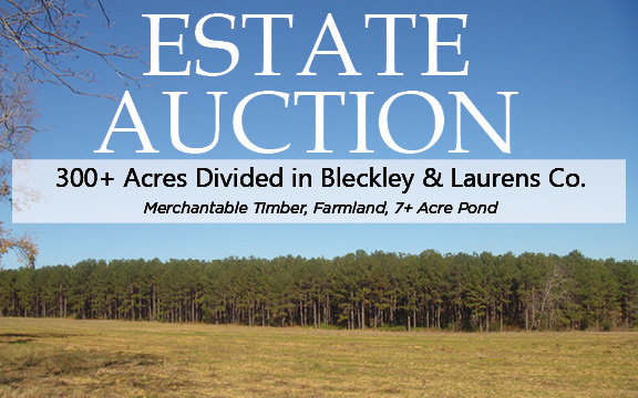 Image for LIVE AUCTION - January 25, 2020