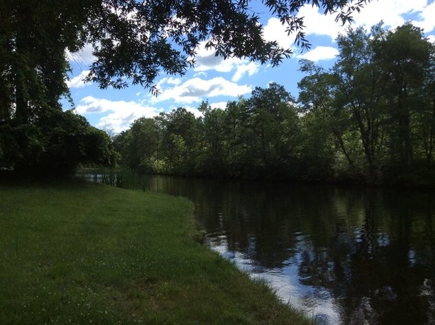 Image for PUBLIC AUCTION - Ordered by the Township Of Medford