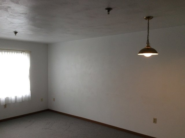 Image for USDA ORDERED AUCTION - Online Only Auction