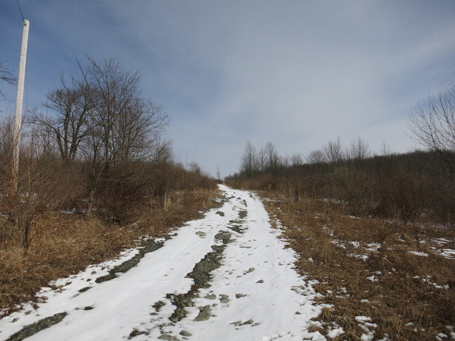 Image for Bankruptcy Auction - By Order of the Court