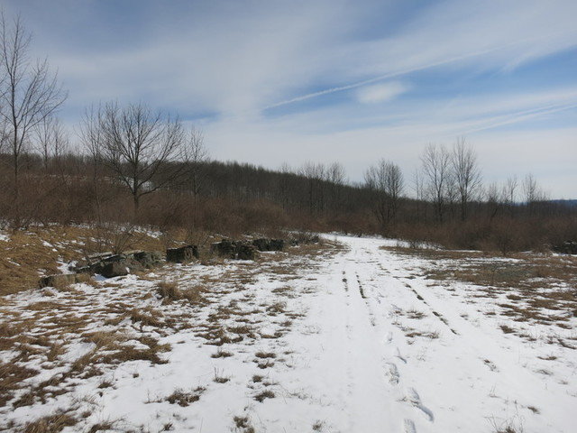 Image for Bankruptcy Auction - By Order of the Court