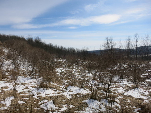 Image for Bankruptcy Auction - By Order of the Court