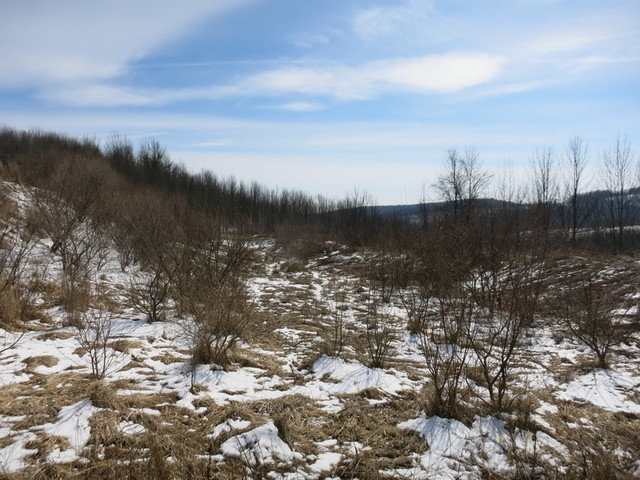 Image for Bankruptcy Auction - By Order of the Court