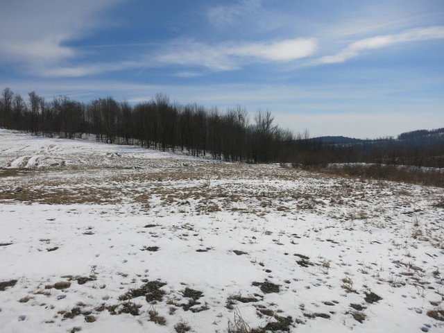 Image for Bankruptcy Auction - By Order of the Court