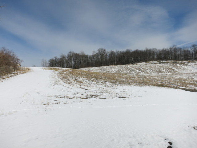 Image for Bankruptcy Auction - By Order of the Court