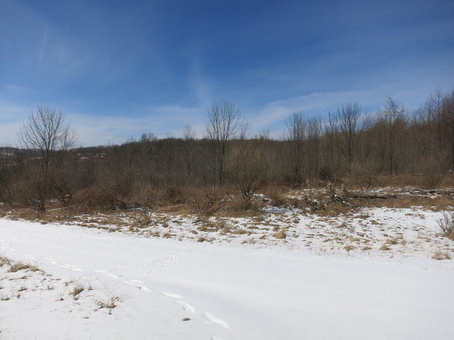 Image for Bankruptcy Auction - By Order of the Court