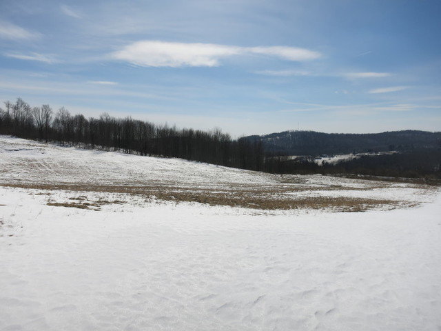 Image for Bankruptcy Auction - By Order of the Court