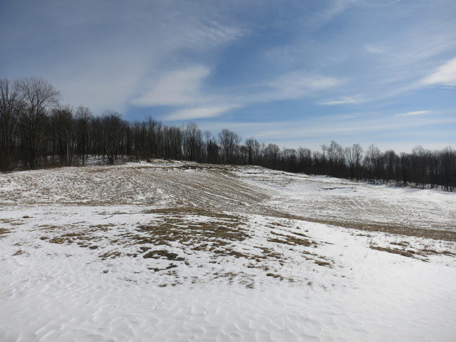 Image for Bankruptcy Auction - By Order of the Court