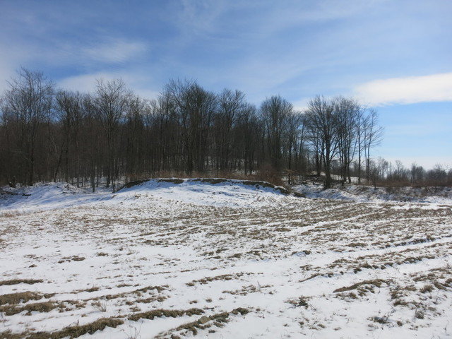 Image for Bankruptcy Auction - By Order of the Court