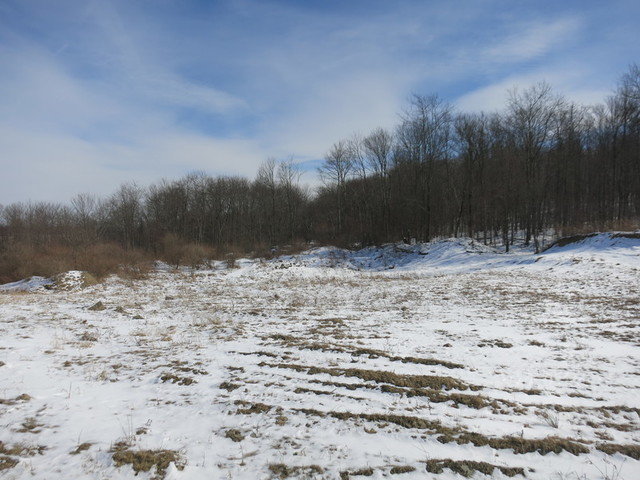 Image for Bankruptcy Auction - By Order of the Court