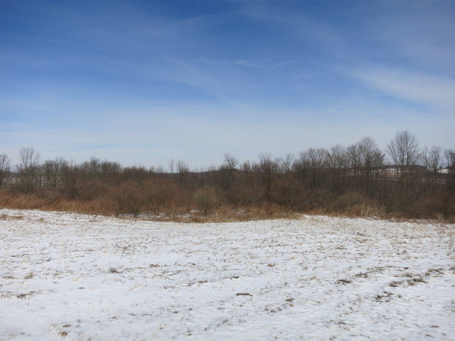 Image for Bankruptcy Auction - By Order of the Court