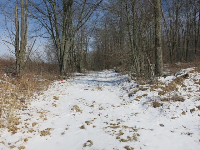 Image for Bankruptcy Auction - By Order of the Court