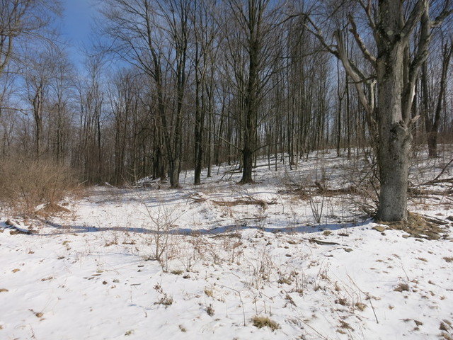 Image for Bankruptcy Auction - By Order of the Court