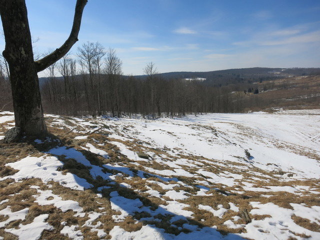 Image for Bankruptcy Auction - By Order of the Court