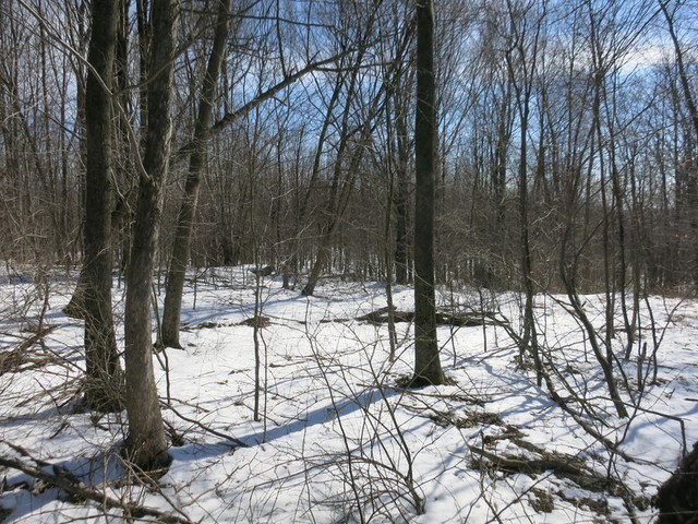 Image for Bankruptcy Auction - By Order of the Court