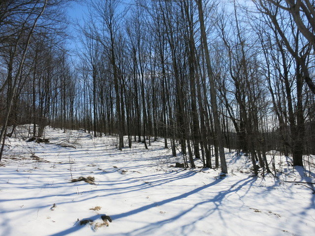 Image for Bankruptcy Auction - By Order of the Court