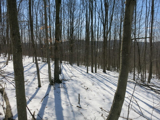 Image for Bankruptcy Auction - By Order of the Court